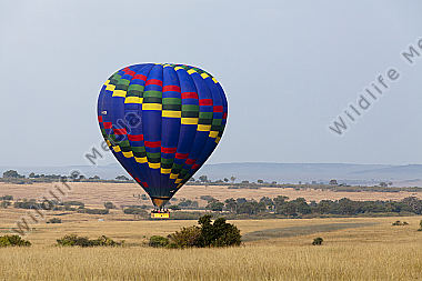 Ballon in der Masai Mara