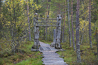 Alter Eingang zum Hamra NP