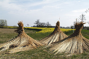 Österreich