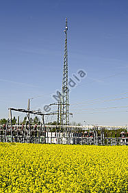 Landwirtschaft und Energie