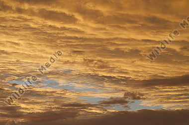 Himmel