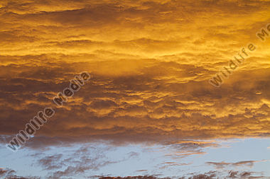 Himmel