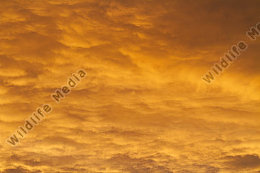 Himmel