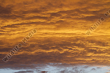 Himmel