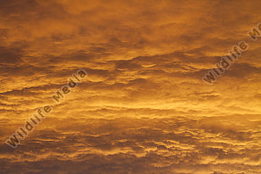 Himmel