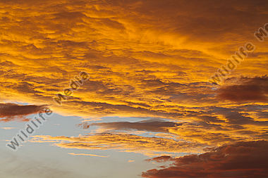 Himmel