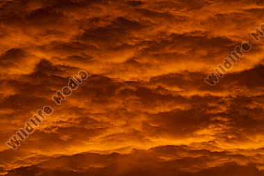 Himmel
