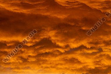 Himmel
