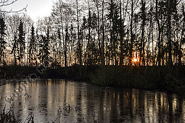Morgenstimmung