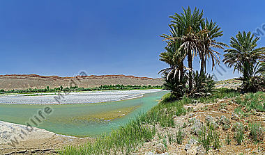 Flußpanorama mit Dattelpalmen