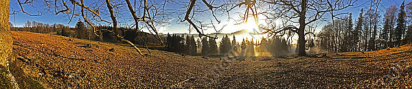 Hinteralpe Nebelmeer Panorama