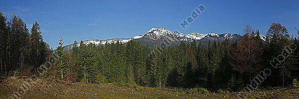 Dürrenstein Panorama