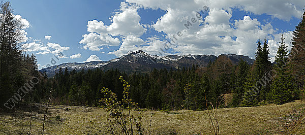 Dürrenstein Panorama