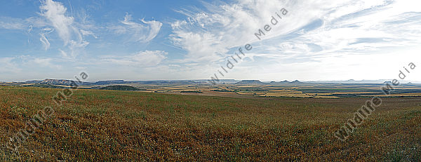 Bardenas Reales Panorama