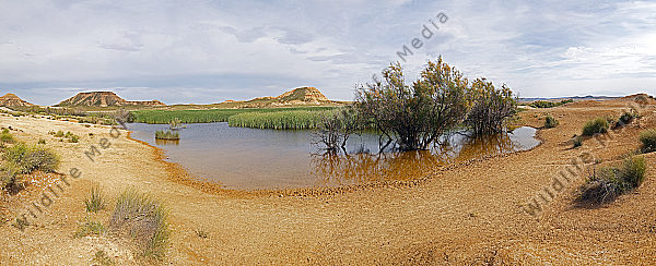 Halbwüste Oase Panorama