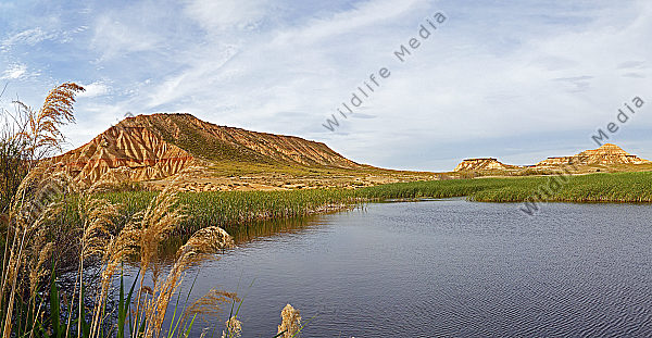Halbwüste Oase Panorama