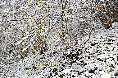 Wintereinbruch