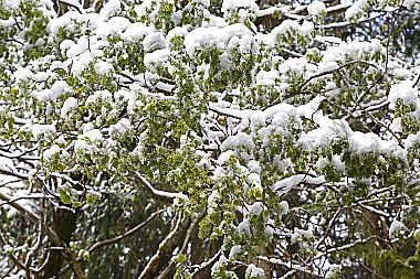 Wintereinbruch