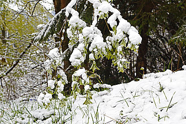Wintereinbruch