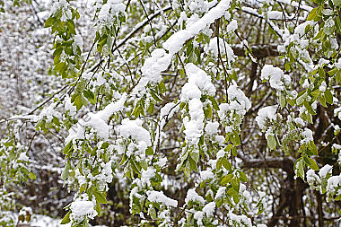 Wintereinbruch