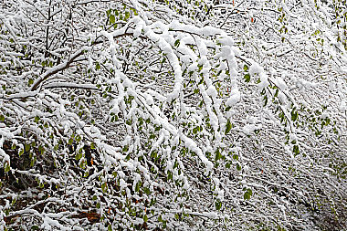 Wintereinbruch