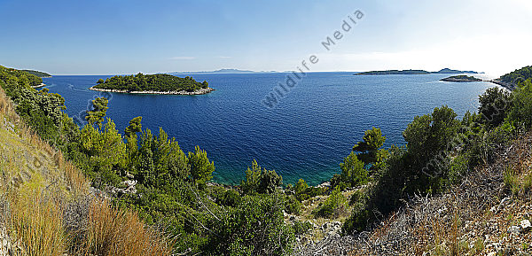 Korcula Panorama