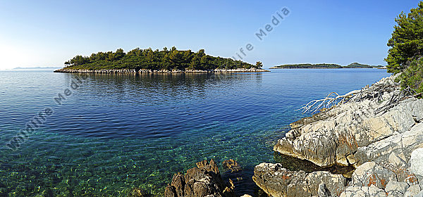 Korcula Panorama