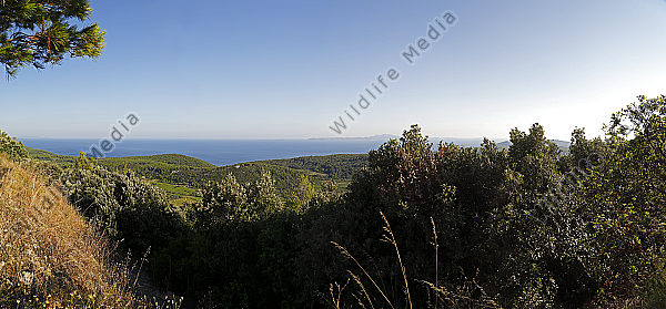 Korcula Panorama