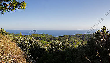 Korcula Panorama