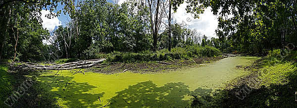Marchauen Panorama