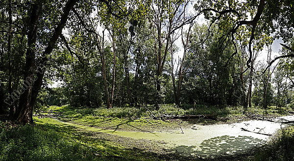 Marchauen Panorama
