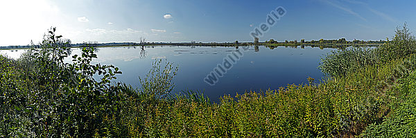 Nationalpark Seewinkel Panorama