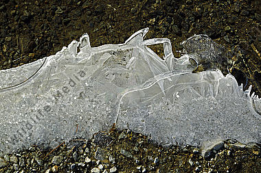 Eis