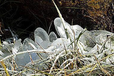 Eis