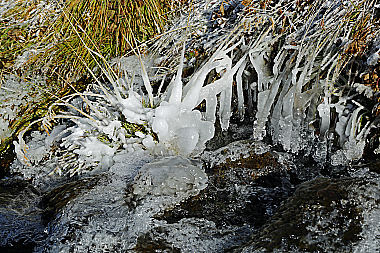 Eis