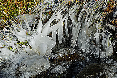 Eis