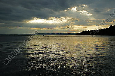 Gardasee