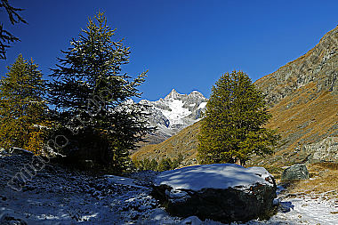 Ober Gabelhorn und Wellenkuppe