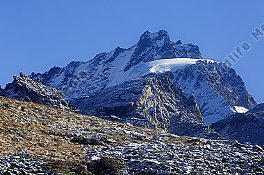 Rimpfischhorn