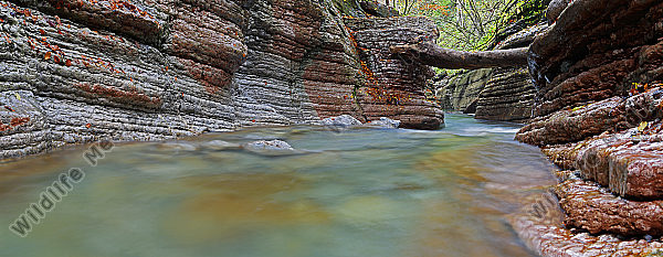 Tauglklamm Panorama