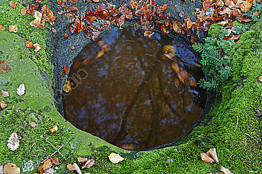 Wasserloch im Fels mit Herbstlaub