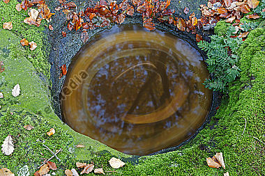 Wasserloch im Fels mit Herbstlaub