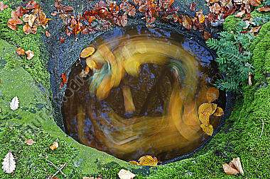 Wasserloch im Fels mit Herbstlaub
