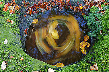 Wasserloch im Fels mit Herbstlaub
