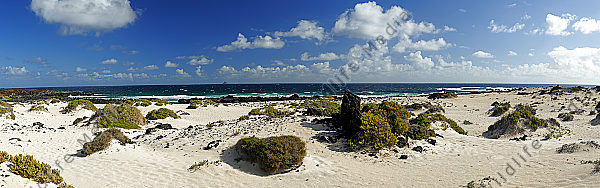 Lanzarote Strand Panorama