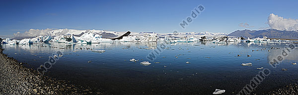 Jökulsarlon Panorama