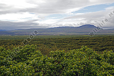 Grabenbruch bei Pingvellir