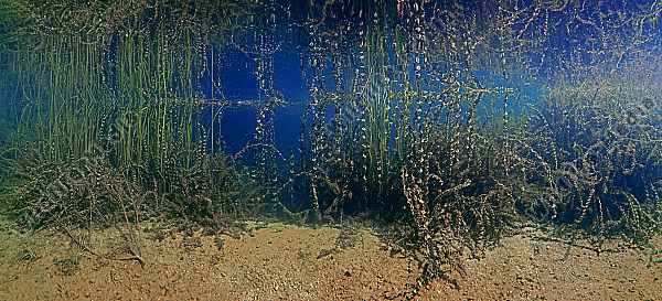 Zrmanja Wasserfälle Unterwasser Panorama