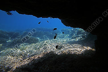 Mittelmeer Unterwasser