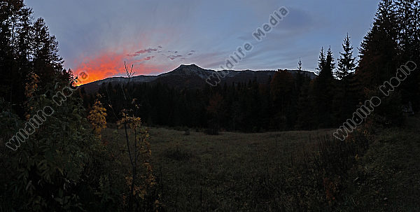 Dürrenstein im Abendrot